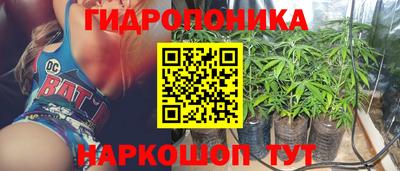 СК Краснознаменск