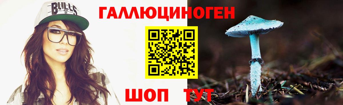 Каспийск  Галлюциногенные грибы прущие грибы  Вход с VPN 